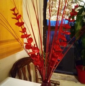 Meet your Posher, Lucy